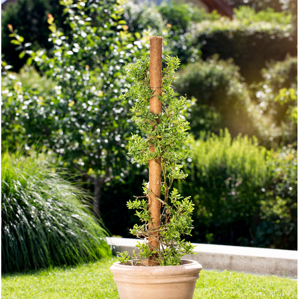 Tutore decorativ cocos, 110 cm