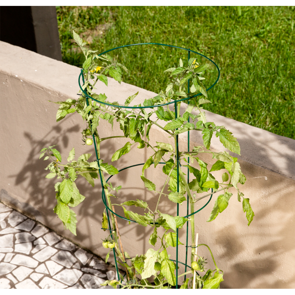 Spalier rotund pentru tomate, otel, 35 x 140 cm