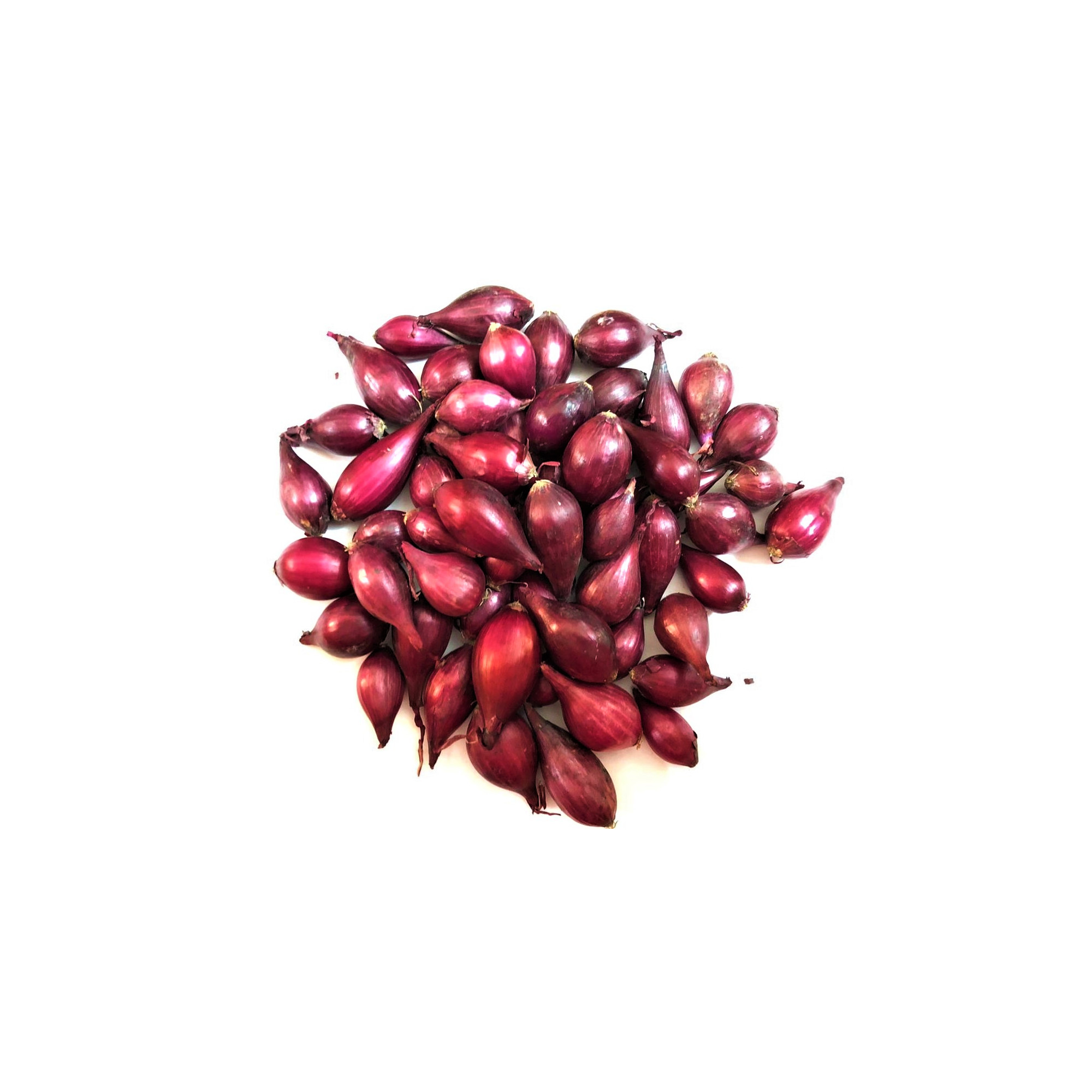 Arpagic rosu soi Piroska Red, 8-14 mm, ambalat in sac, greutate 450 gr