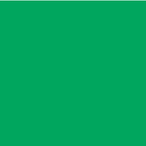 Email ROST cu uscare rapida, 4L, verde iarba