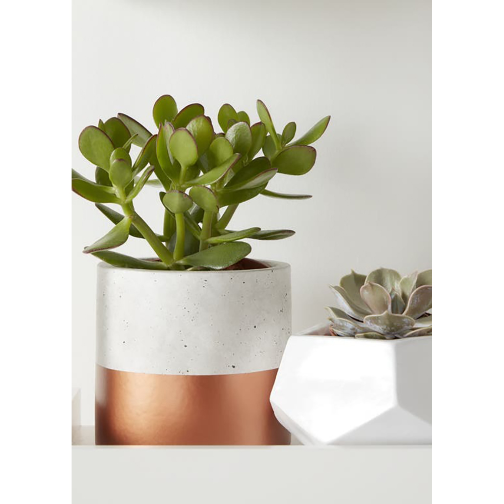 Ghiveci rotund GOODHOME, beton si cupru 14 cm, gri-maro