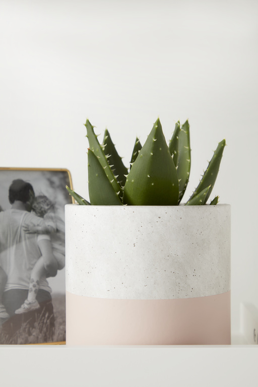 Ghiveci flori GOODHOME, beton, D 14.1 cm, multicolor