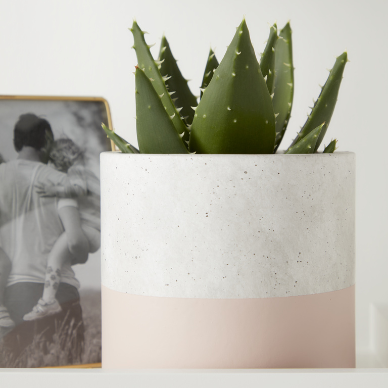 Ghiveci flori GOODHOME, beton, D 14.1 cm, multicolor
