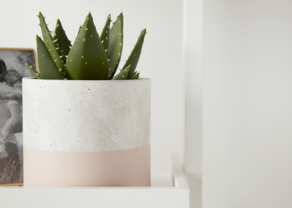 Ghiveci flori GOODHOME, beton, D 14.1 cm, multicolor