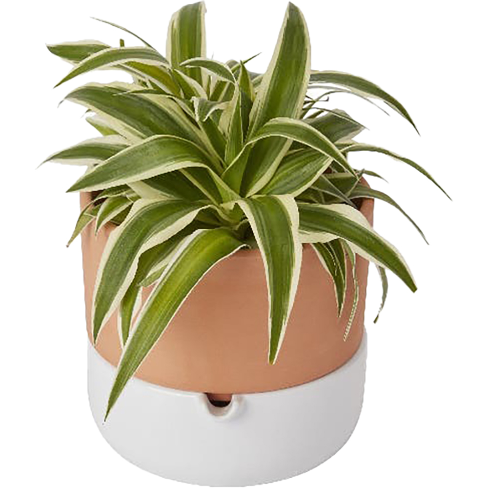 Ghiveci rotund GOODHOME, teracota, 16.1 cm, maro-alb