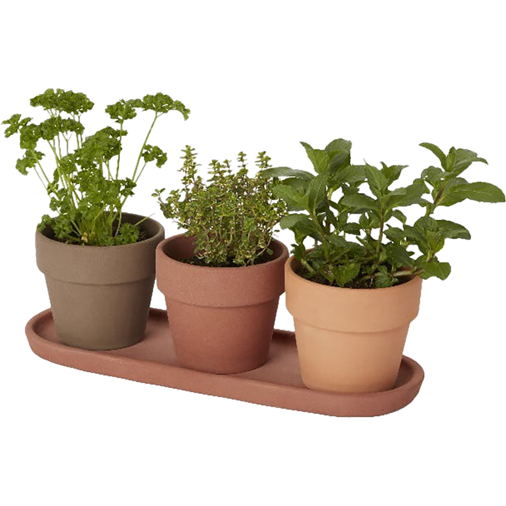 Set 3 ghivece rotunde GOODHOME, teracota, 10.9 cm, maro