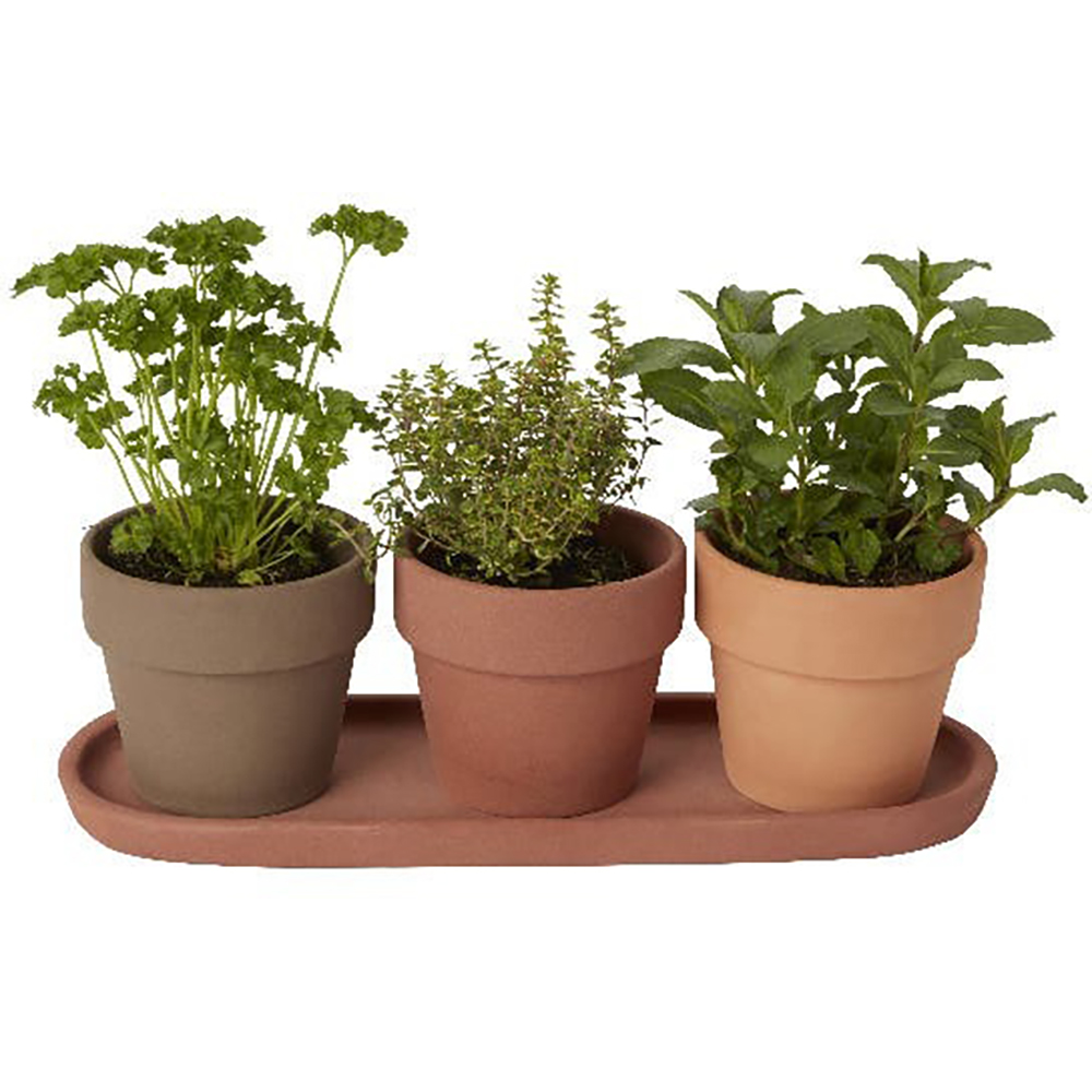 Set 3 ghivece rotunde GOODHOME, teracota, 10.9 cm, maro