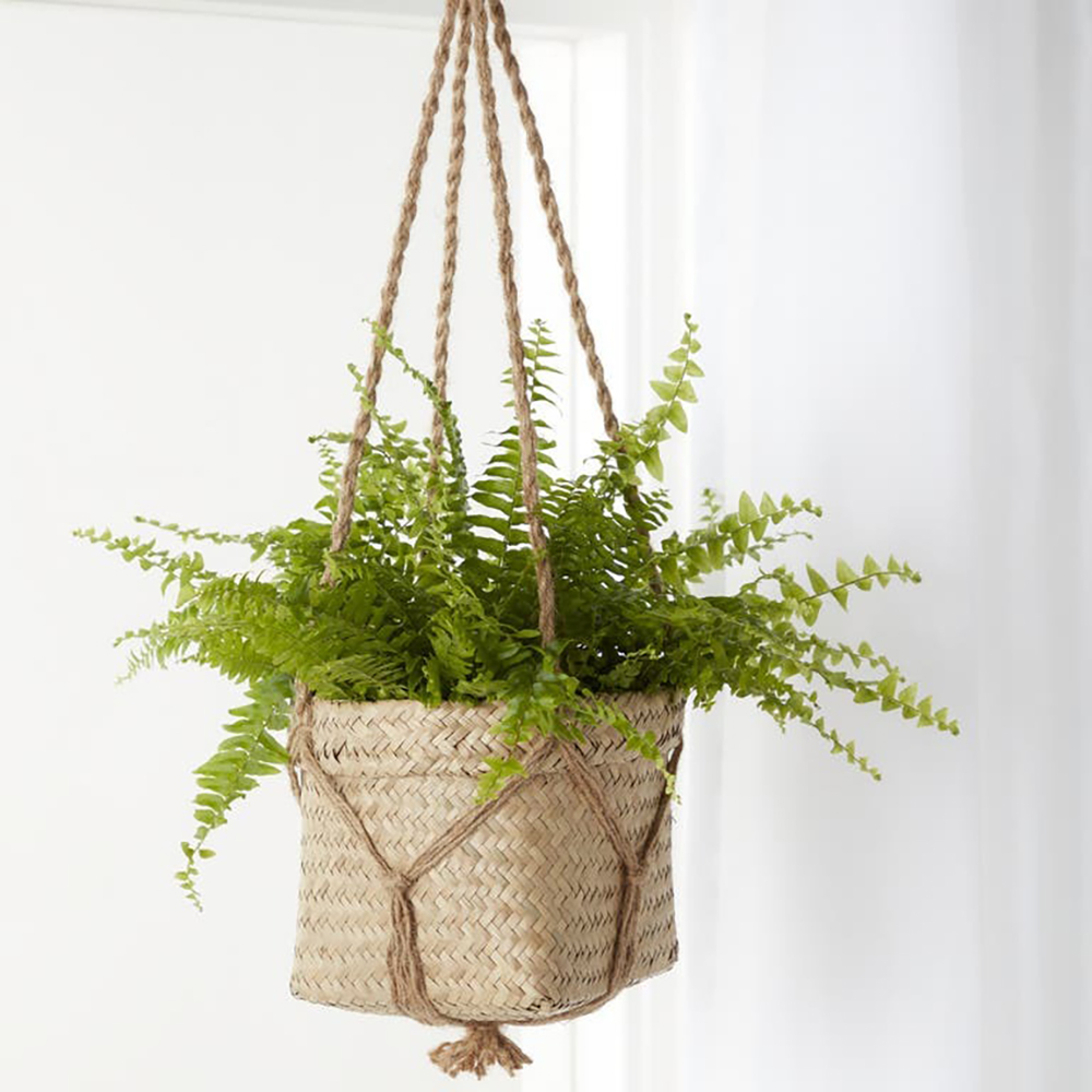 Ghiveci suspendat rotund GOODHOME, iarba de mare, 20.5 cm, bej