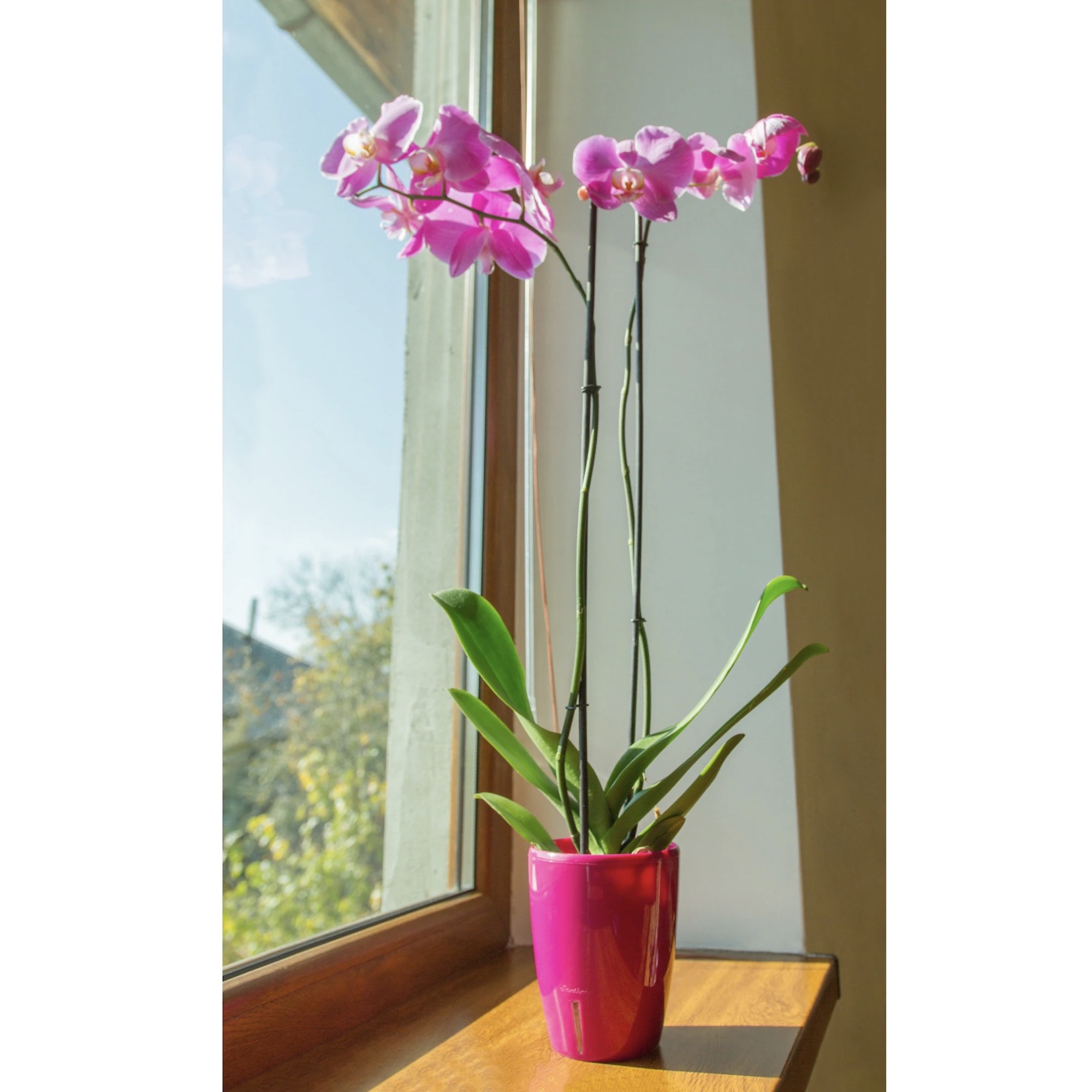 Ghiveci flori Orchidea Twin, plastic, D 15 cm, mov