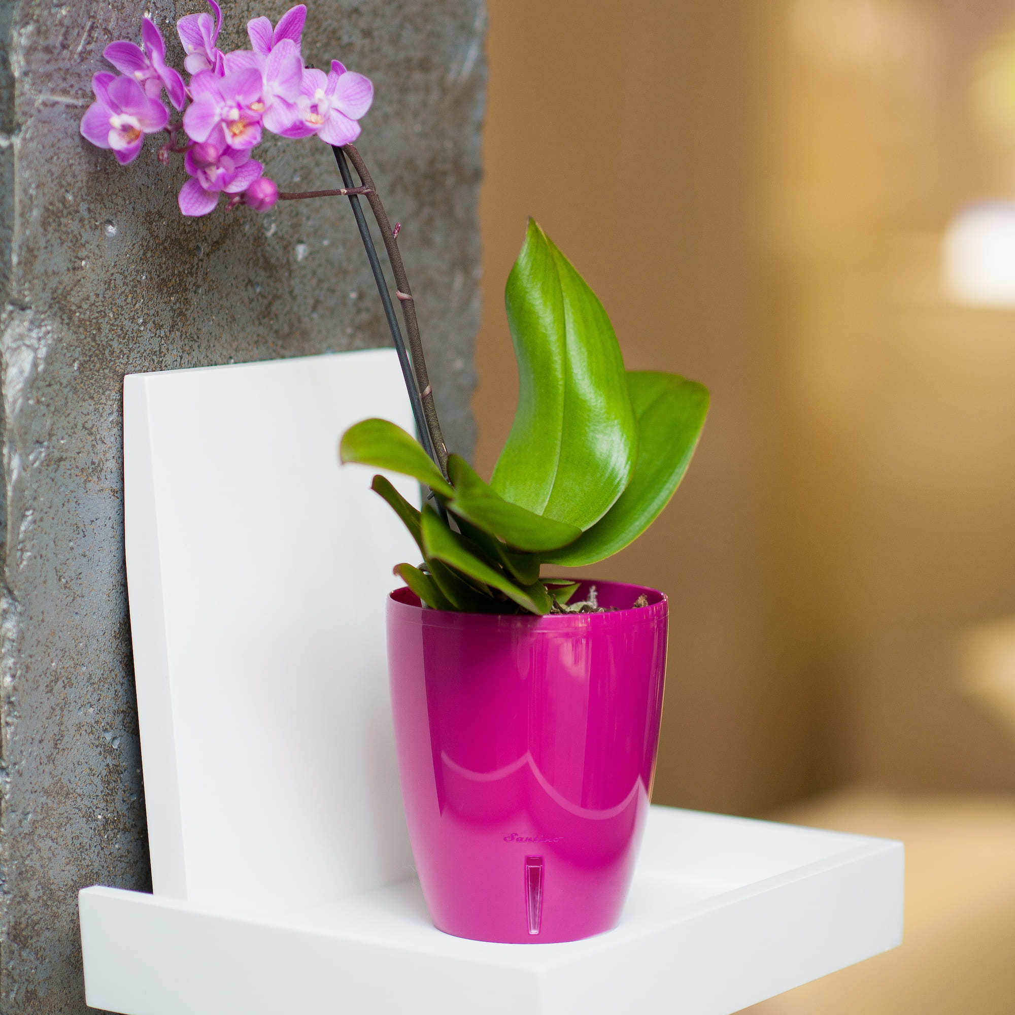 Ghiveci flori Orchidea Twin, plastic, D 15 cm, mov