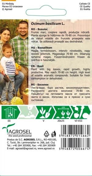 Seminte busuioc  Agrosel