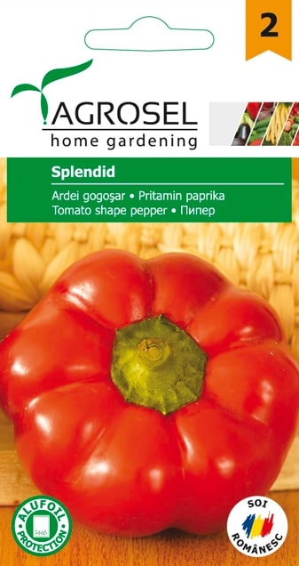 Seminte ardei gogosar Splendid AGROSEL, 4.35 g
