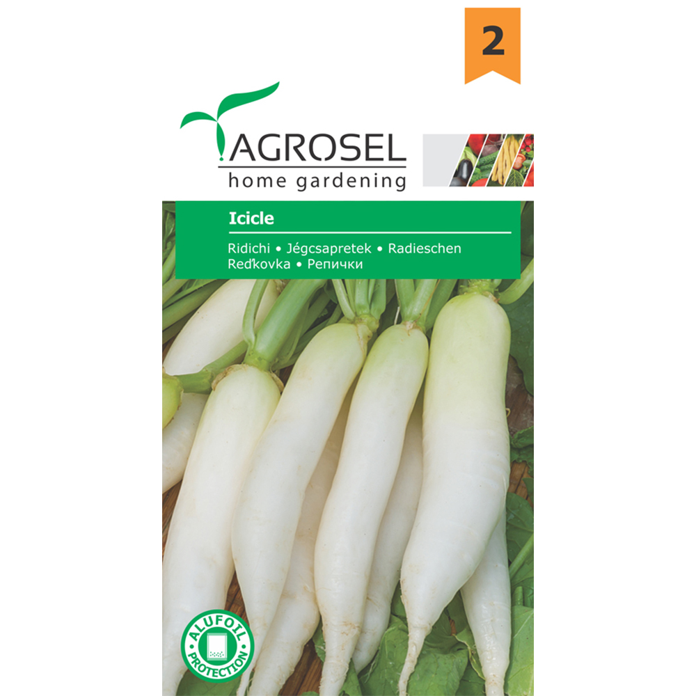 Seminte Ridichi Icicle AGROSEL