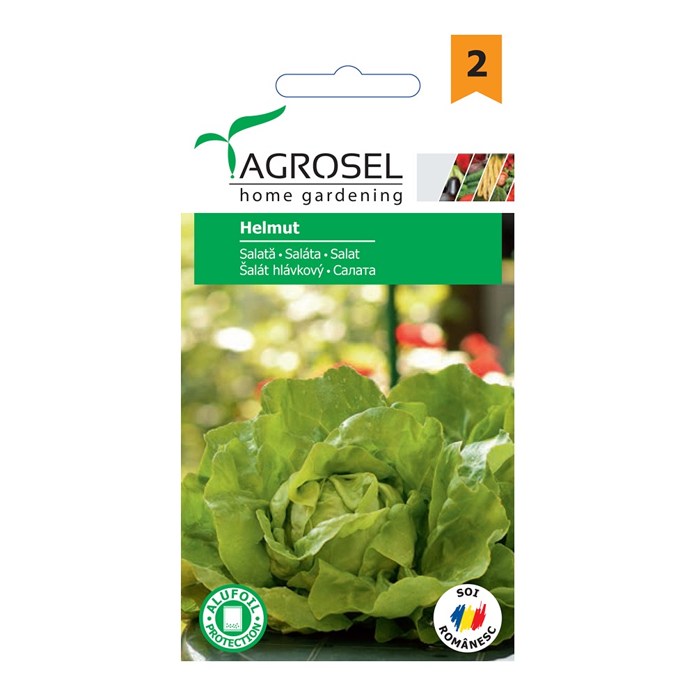Seminte salata Helmut  Agrosel