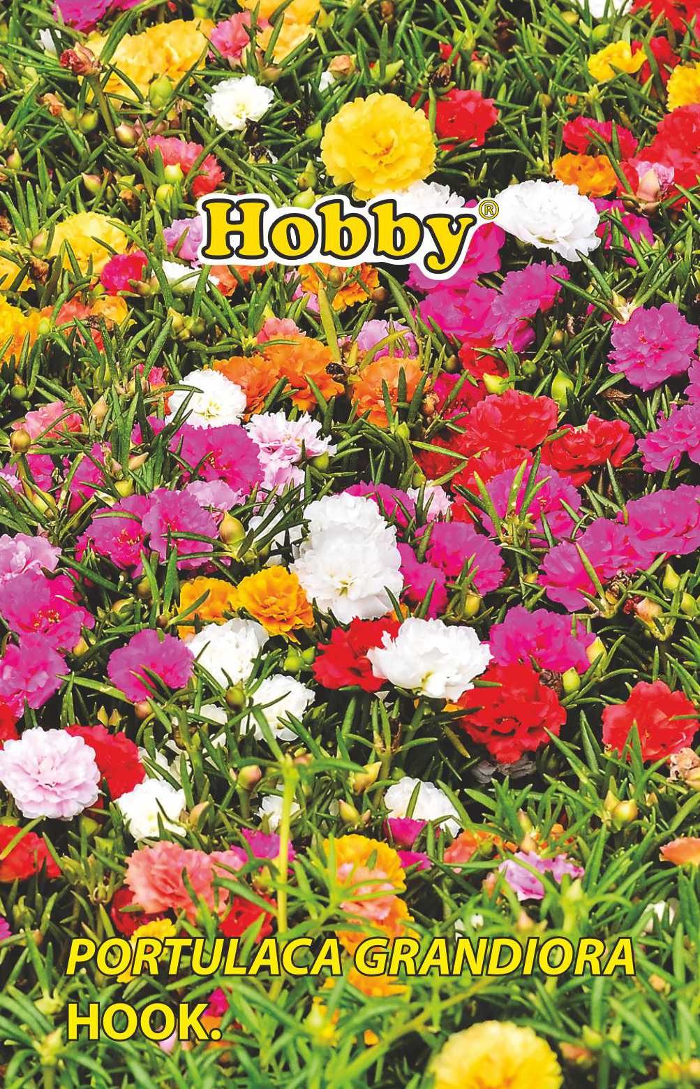 Seminte flori de piatra  Hobby