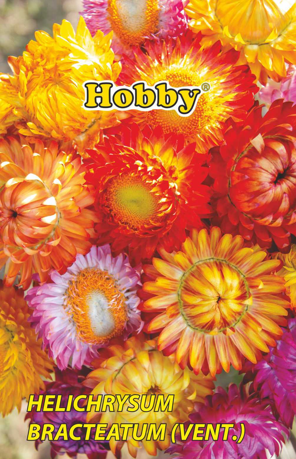 Seminte Imortele Melanj HOBBY, 0.4g