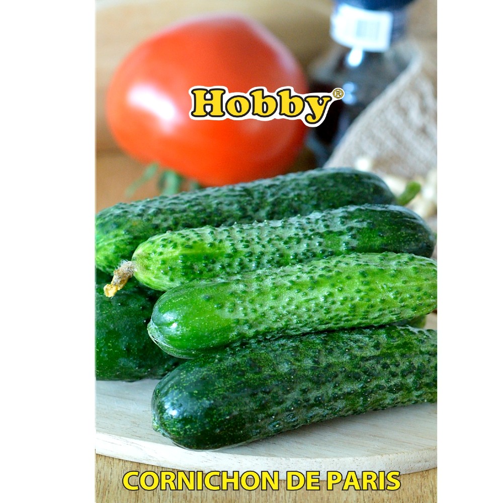 Seminte castraveti Cornichon de Paris  Hobby