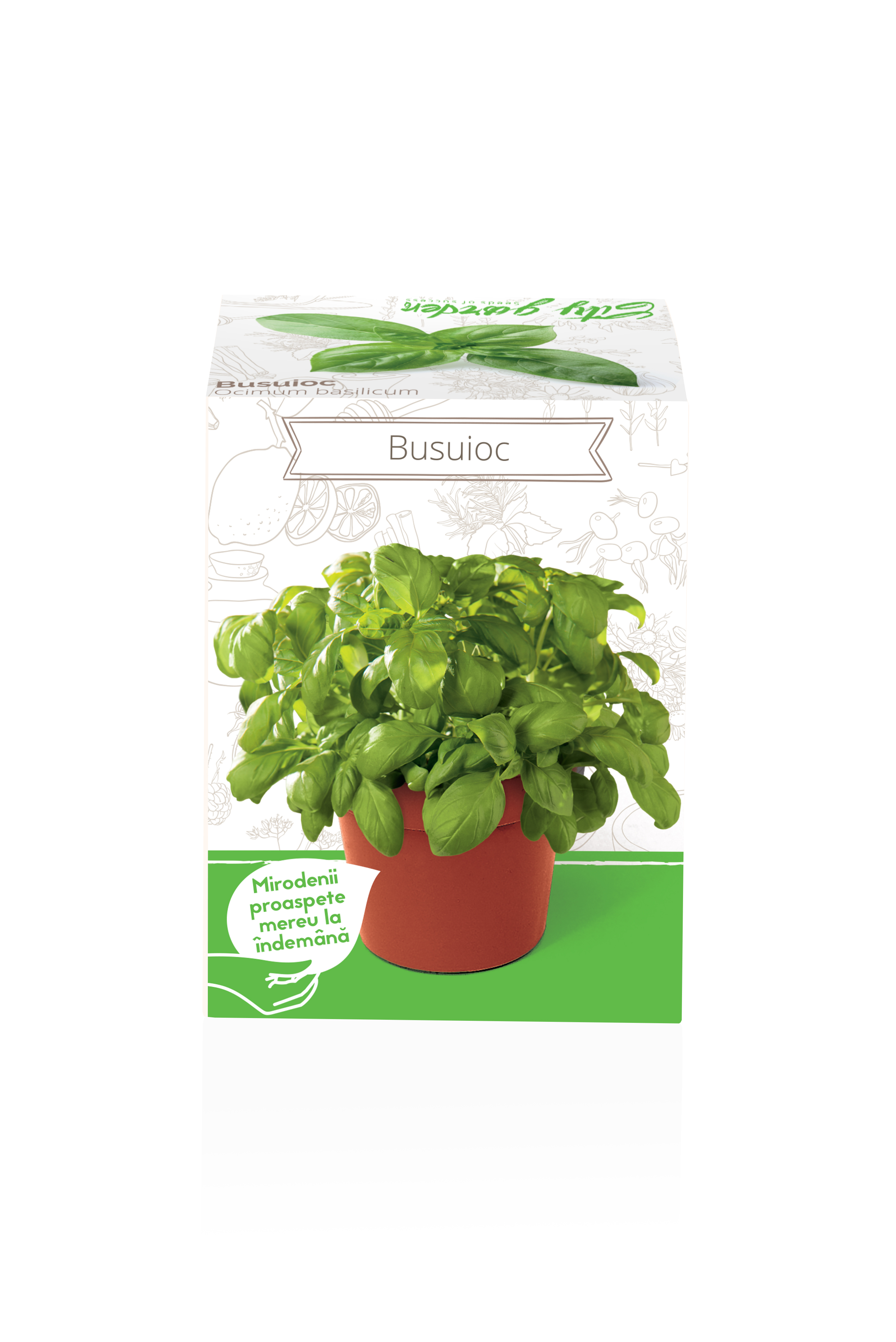 Seminte busuioc Ocimum Basilicum YURTA PROD, 135 g