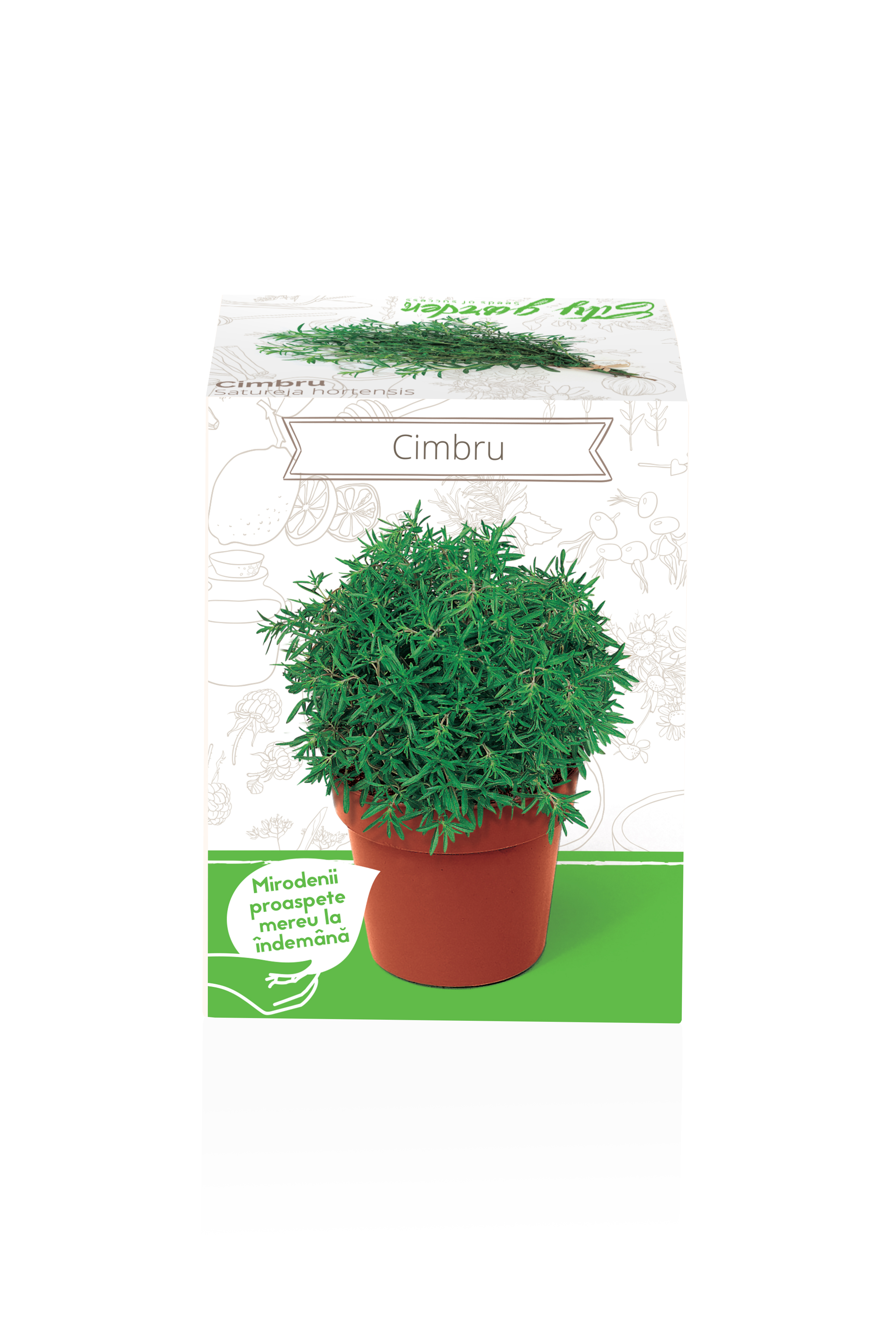 Seminte cimbru YURTA PROD, 135 g