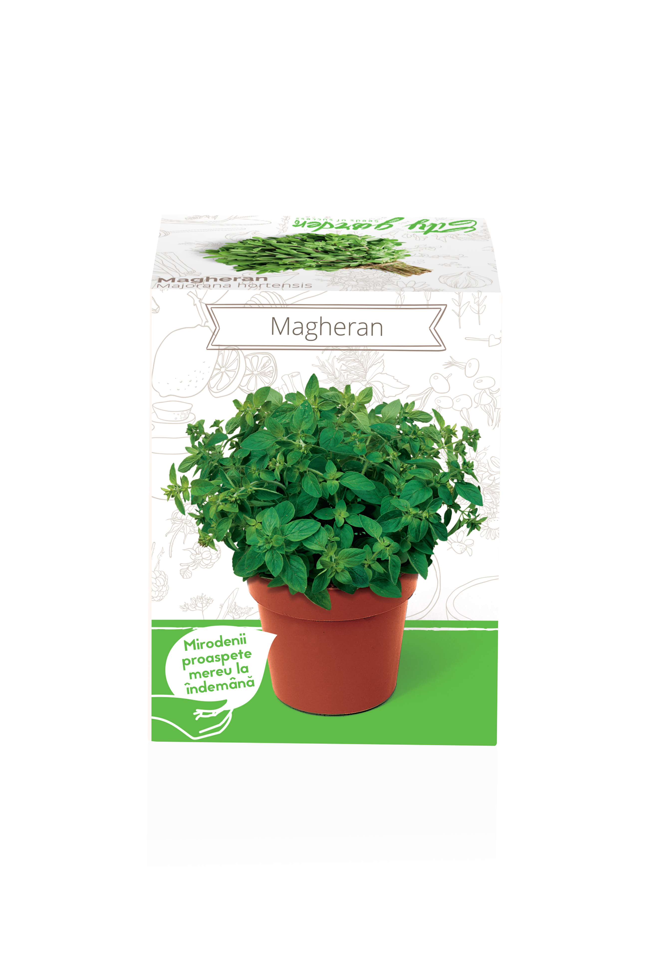 Seminte magheran Majorana Hortensis YURTA PROD, 135 g