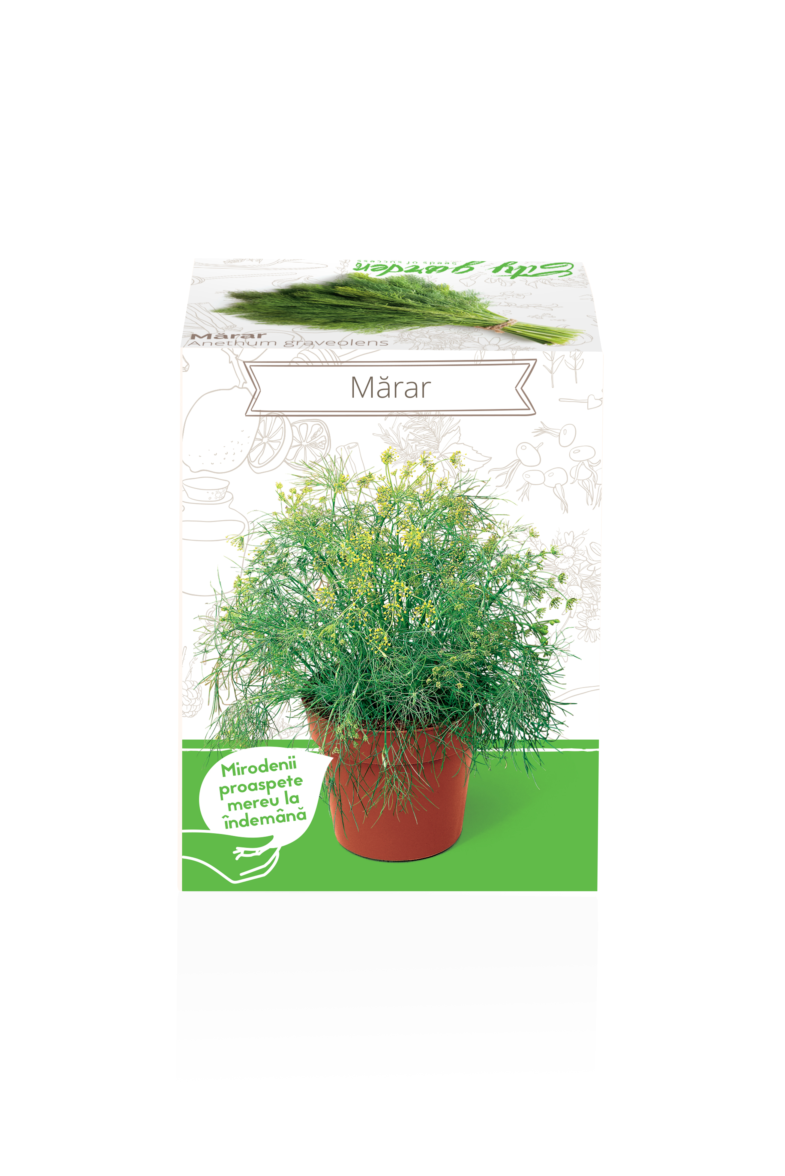 Seminte marar Anethum Graveolens YURTA PROD, 135 g