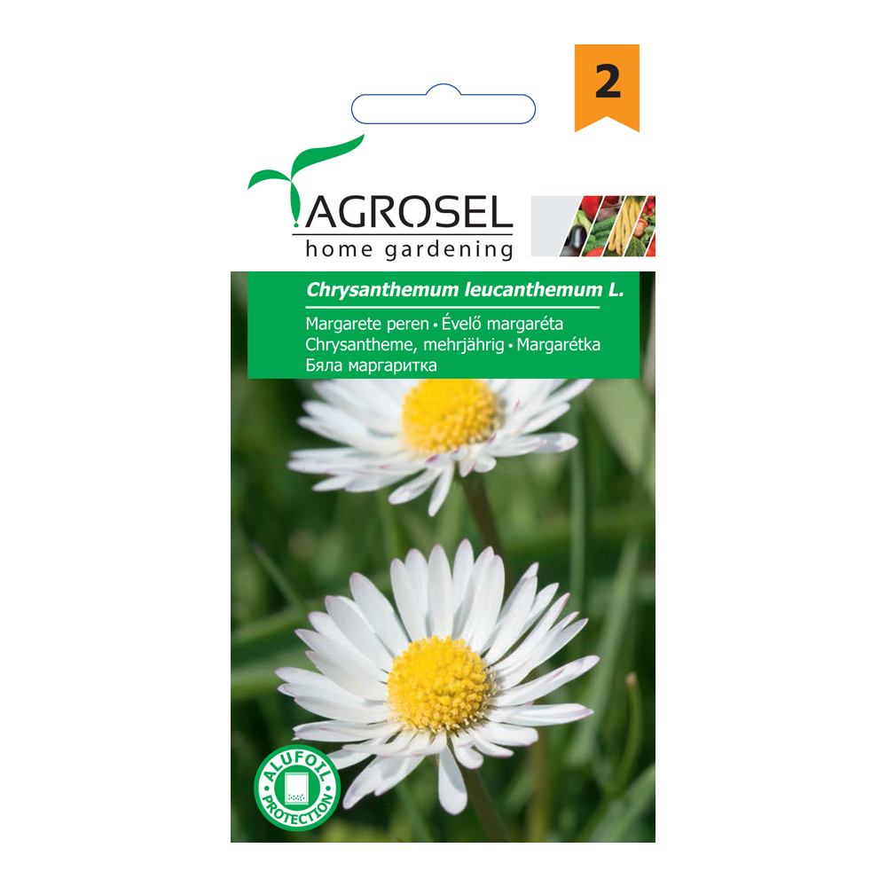 Seminte margareta, alba  Agrosel