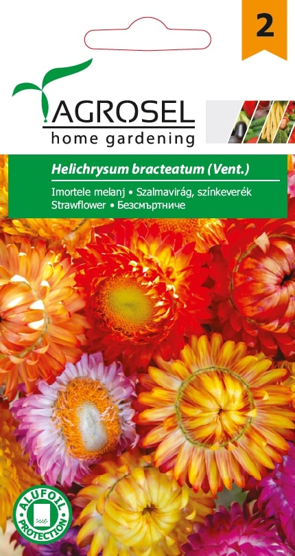 Helichrysum 1G Plic
