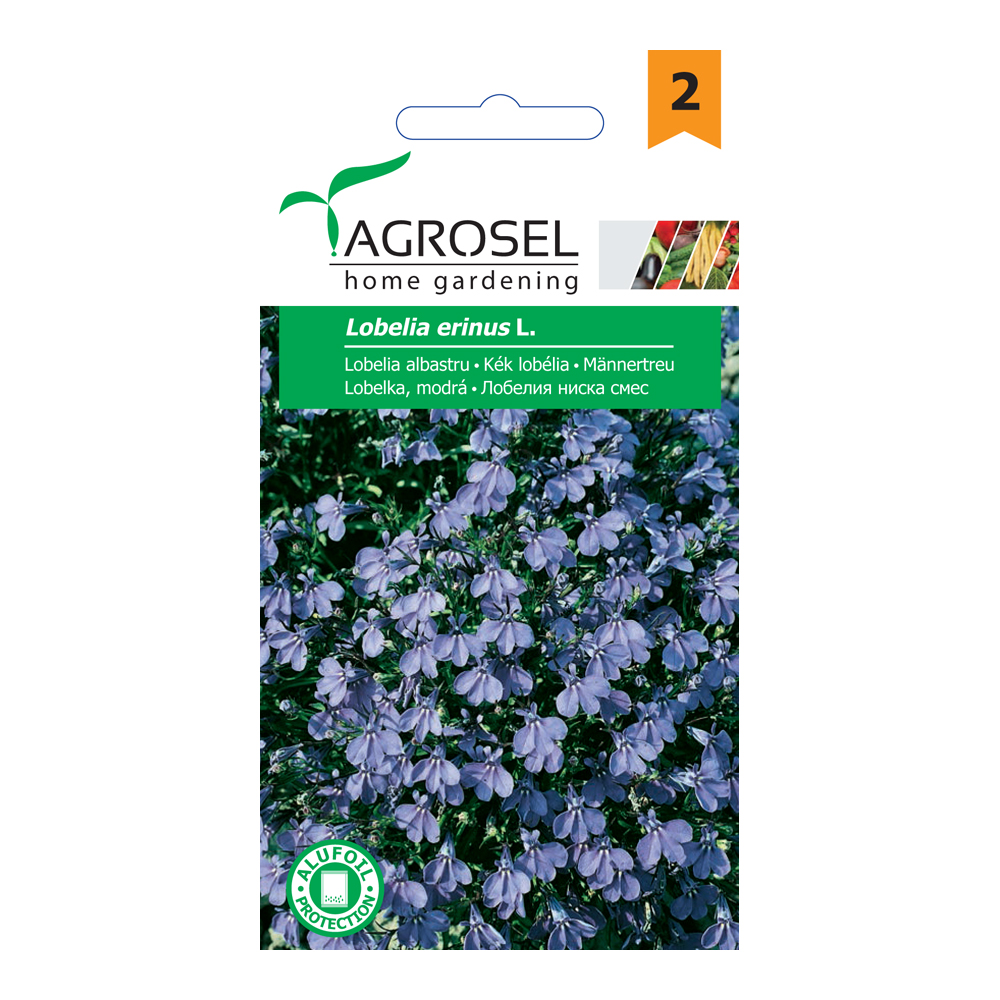 Lobelia Albastru Lobelia Erinus 0.4G Pl