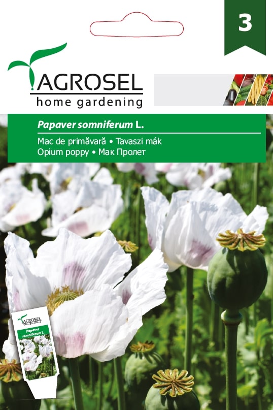 Seminte mac de primavara AGROSEL, 5.15 g