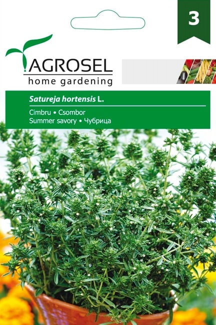 Seminte cimbru  Agrosel
