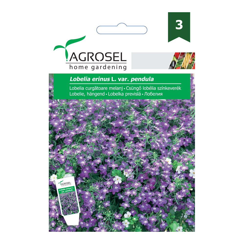 Lobelia curgatoare melanj  Agrosel