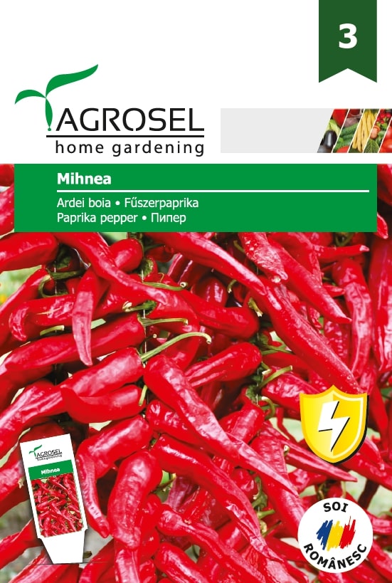 Ardei Boia Mihnea  Agrosel