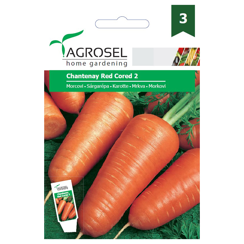 Morcovi chantenay red cored 2  Agrosel