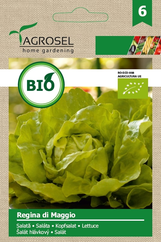 Seminte salata Regina eco AGROSEL, 5.45 g
