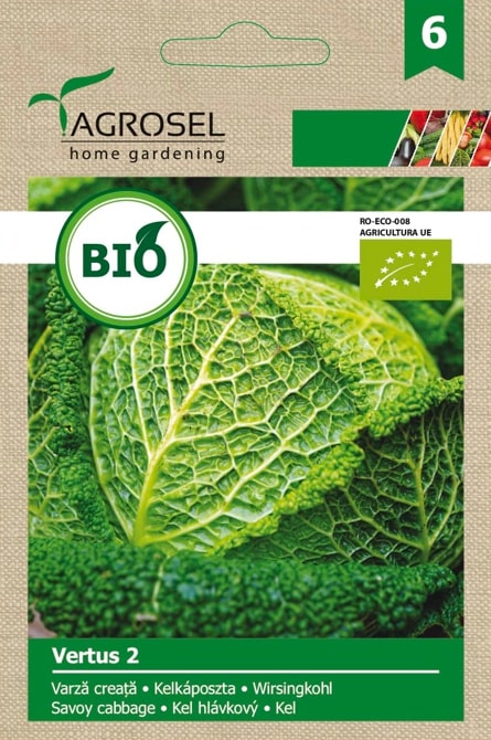 Seminte varza creata Vertus 2 eco AGROSEL, 5.45 g