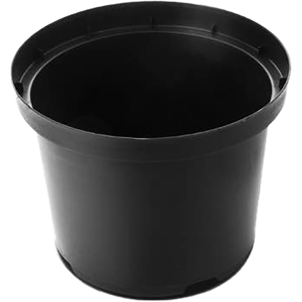 Ghiveci rasad rotund NAPOCHIM, polipropilena, 19 x 15 cm, negru