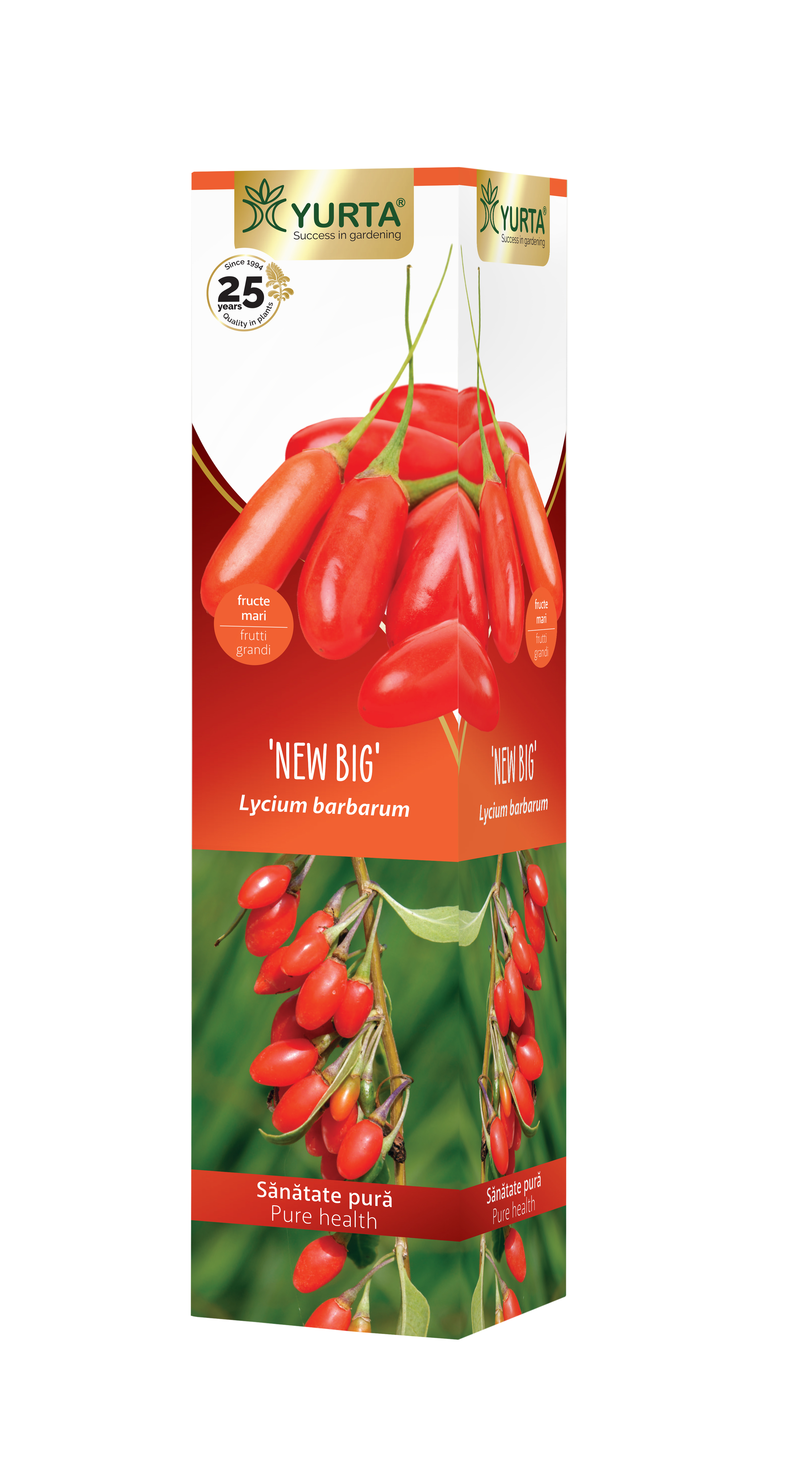 Arbust fructifier Goji
