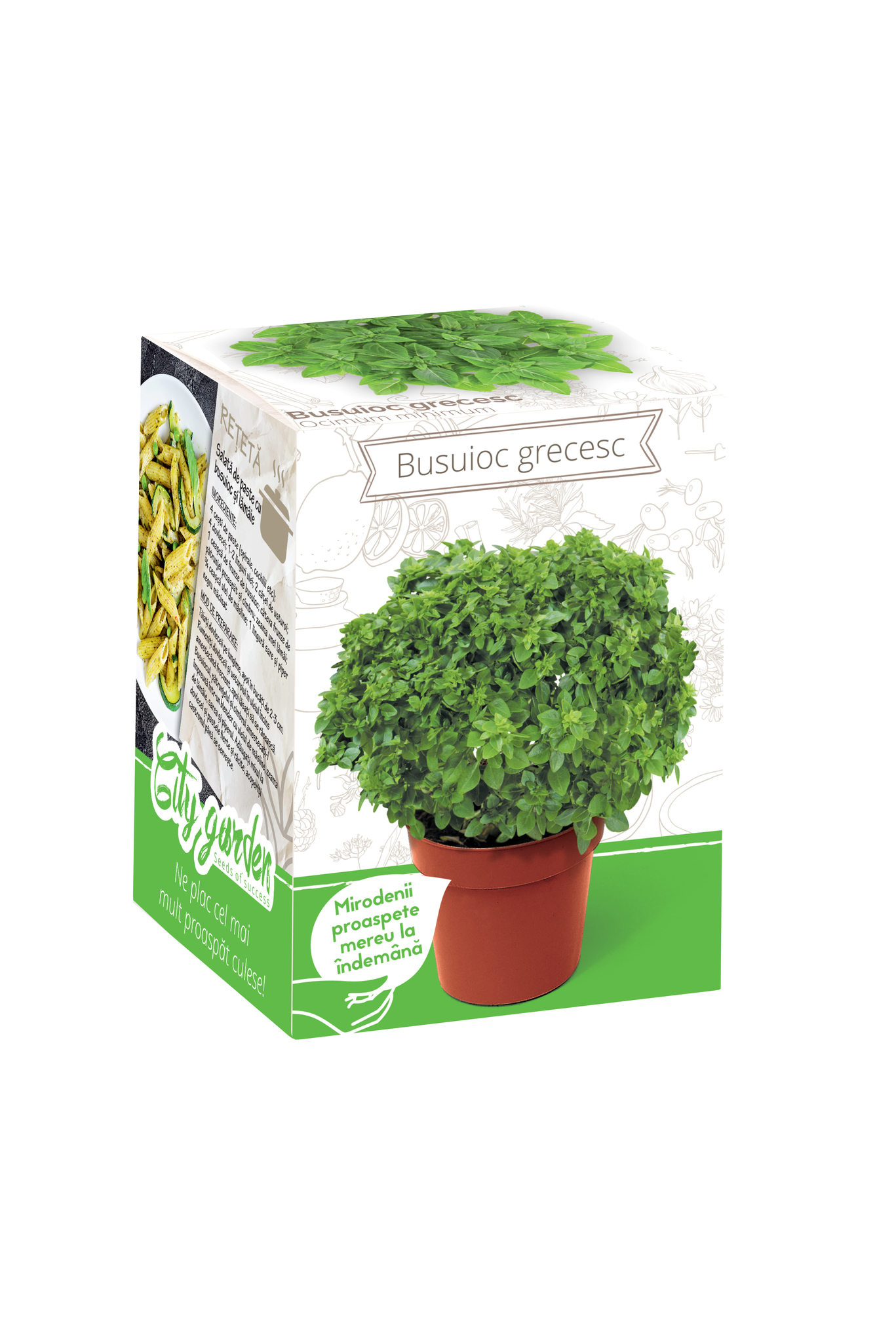 Busuioc Grecesc
