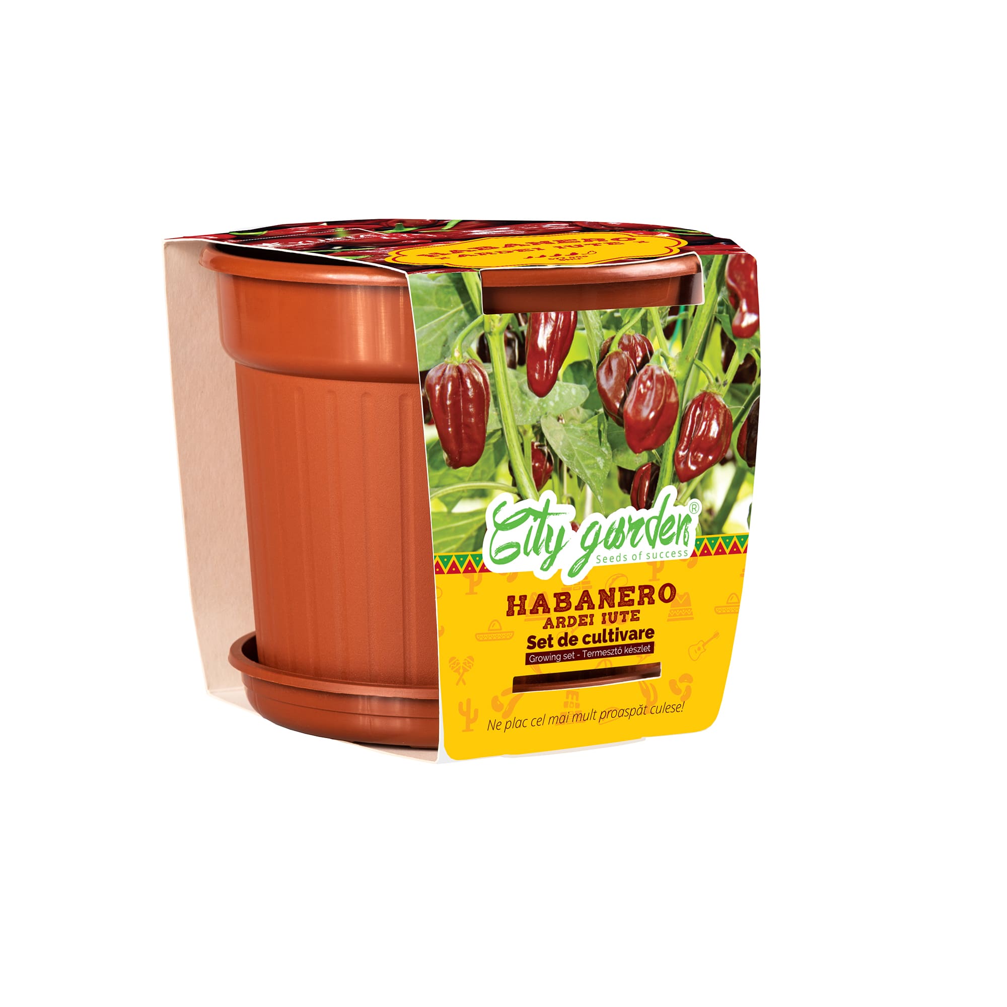Set de cultivare Habanero Chocolate, seminte ardei iute YURTA