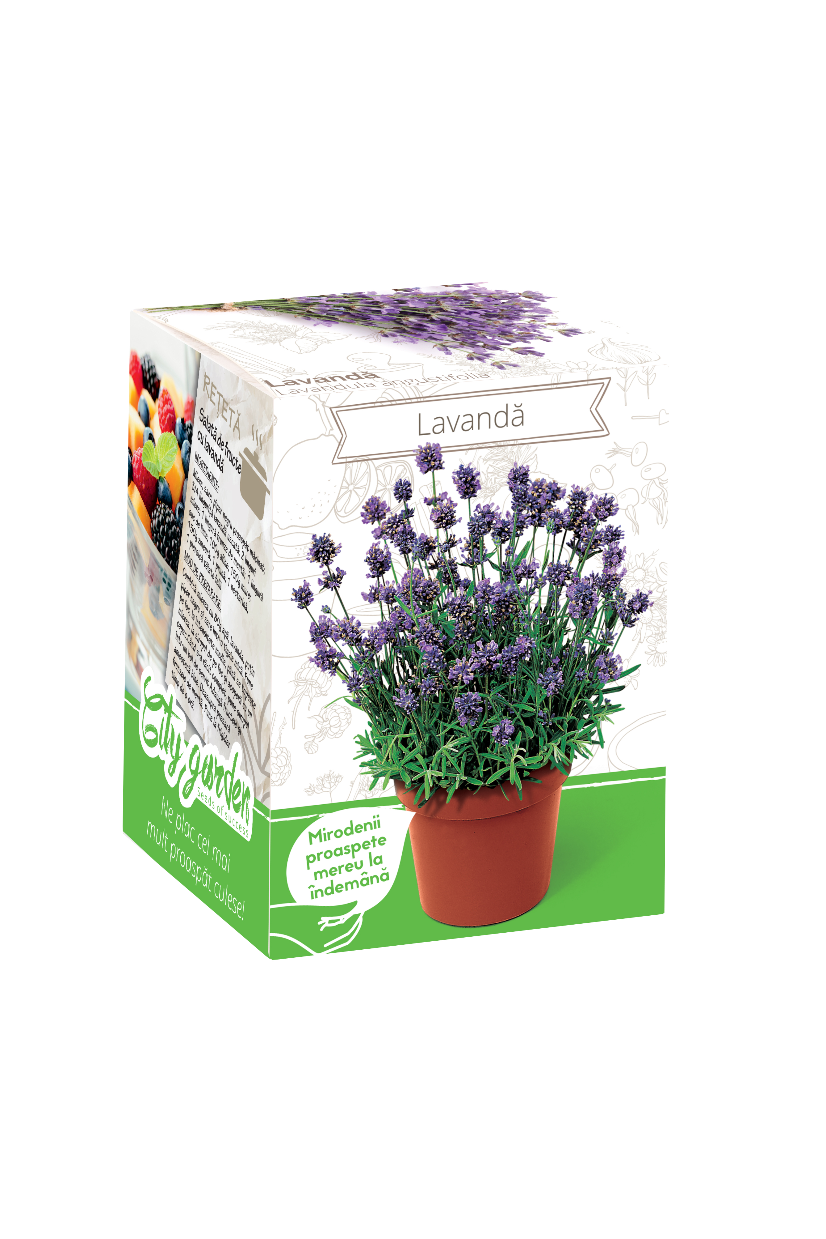 Lavanda