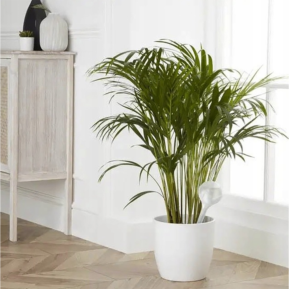 Sistem de udare plante VERVE, 360 ml, plastic, alb
