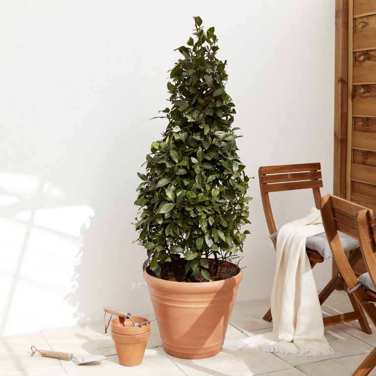 Ghiveci din plastic, maro, forma rotunda, 45 cm diametru Verve