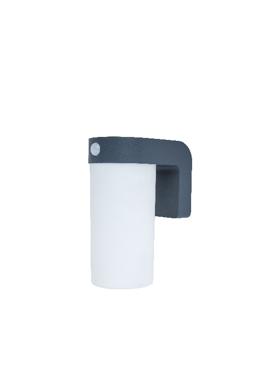 Lampa solara de exterior GOODHOME, LED, 1.5W, IP54, 150lm, 5000K, plastic, gri