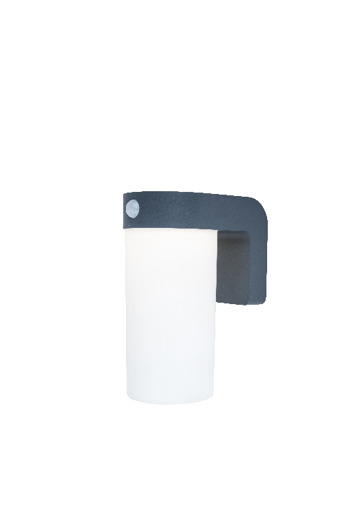Lampa solara de exterior GOODHOME, LED, 1.5W, IP54, 150lm, 5000K, plastic, gri