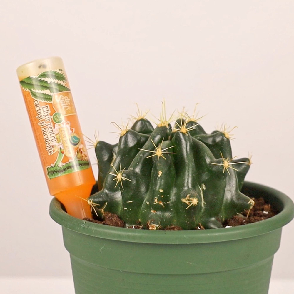 Elixir pentru cactusi si suculente Dr. Soil, ingrasamant natural, 32 ml