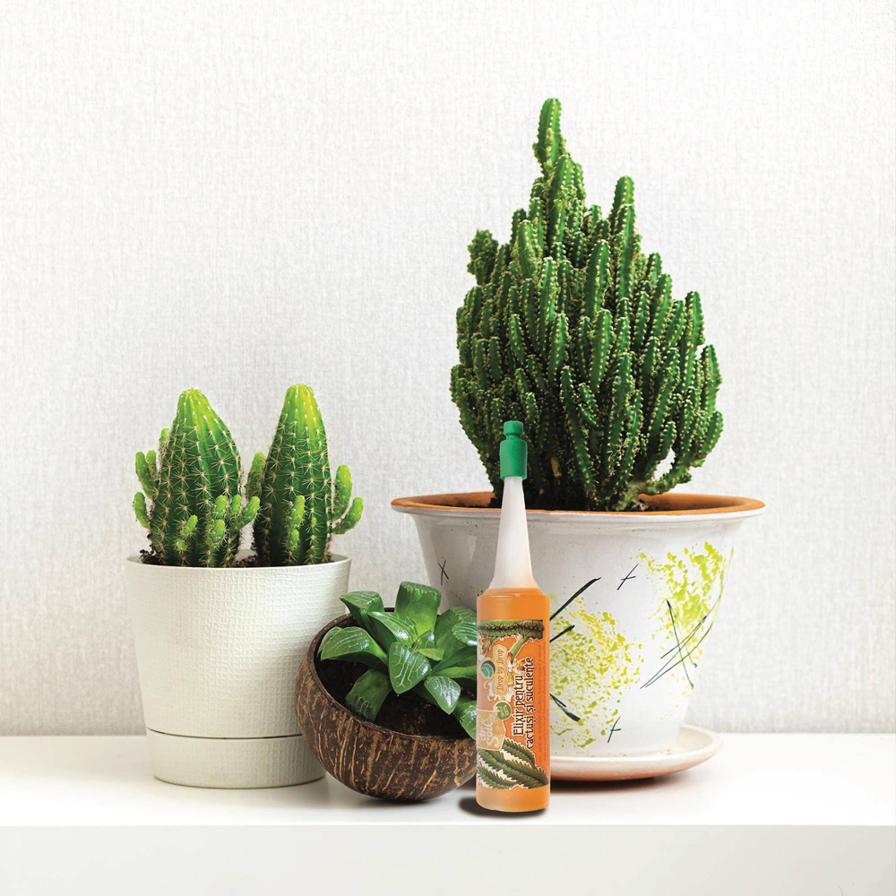 Elixir pentru cactusi si suculente Dr. Soil, ingrasamant natural, 32 ml