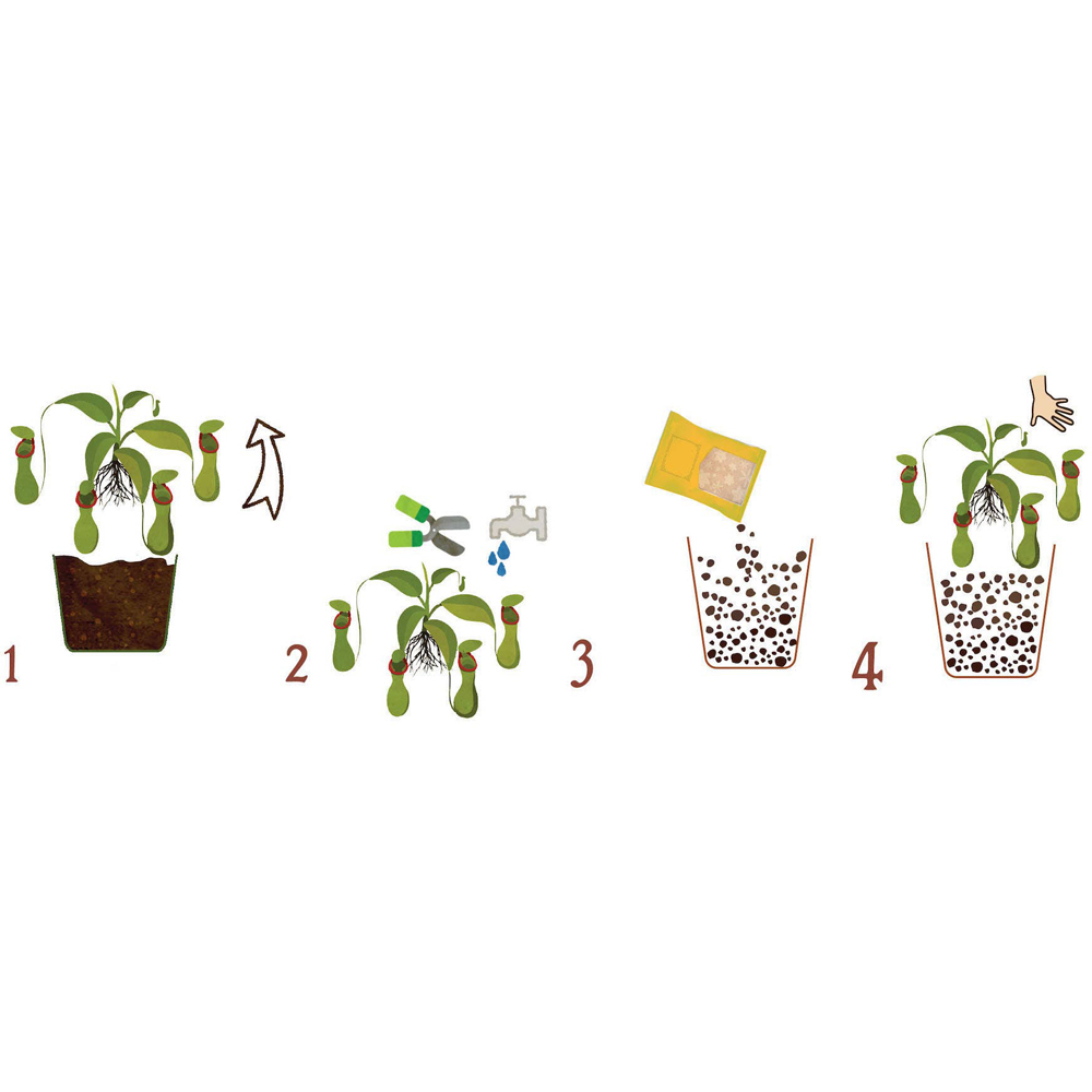 Substrat pentru plante carnivore Dr. Soil, 1 L