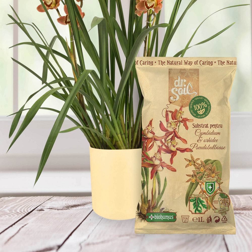 Substrat orhidee cymbidium si pseudobulboase Dr. Soil, fertilizant natural, 1 l