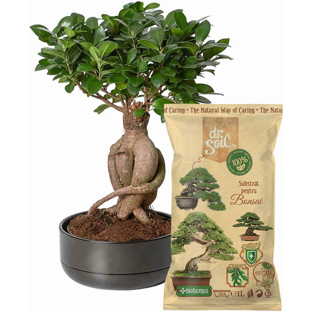 Substrat pentru bonsai Dr. Soil, 1 l