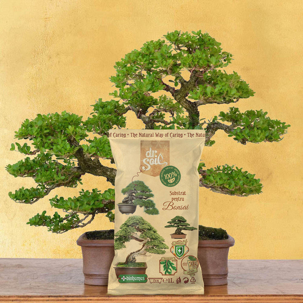 Substrat pentru bonsai Dr. Soil, 1 l